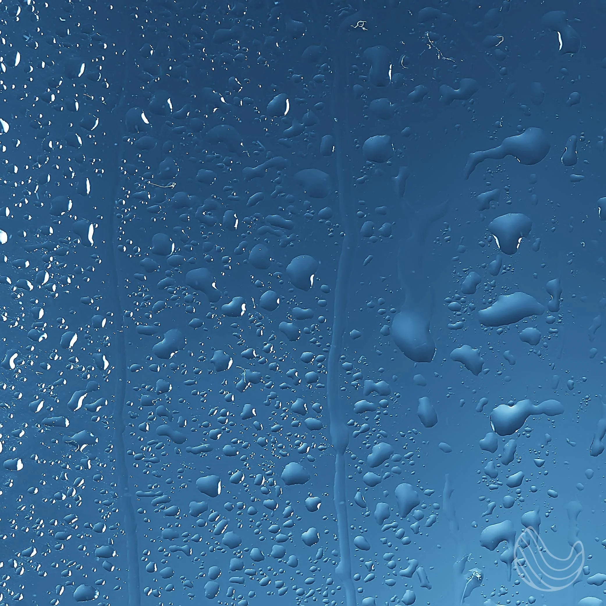 Escape Shower Spray Eucalyptus Oil with a Whiff of Lemon